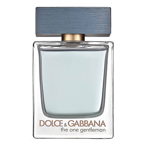 the one dolce gabbana mens|d&g the one gentleman.